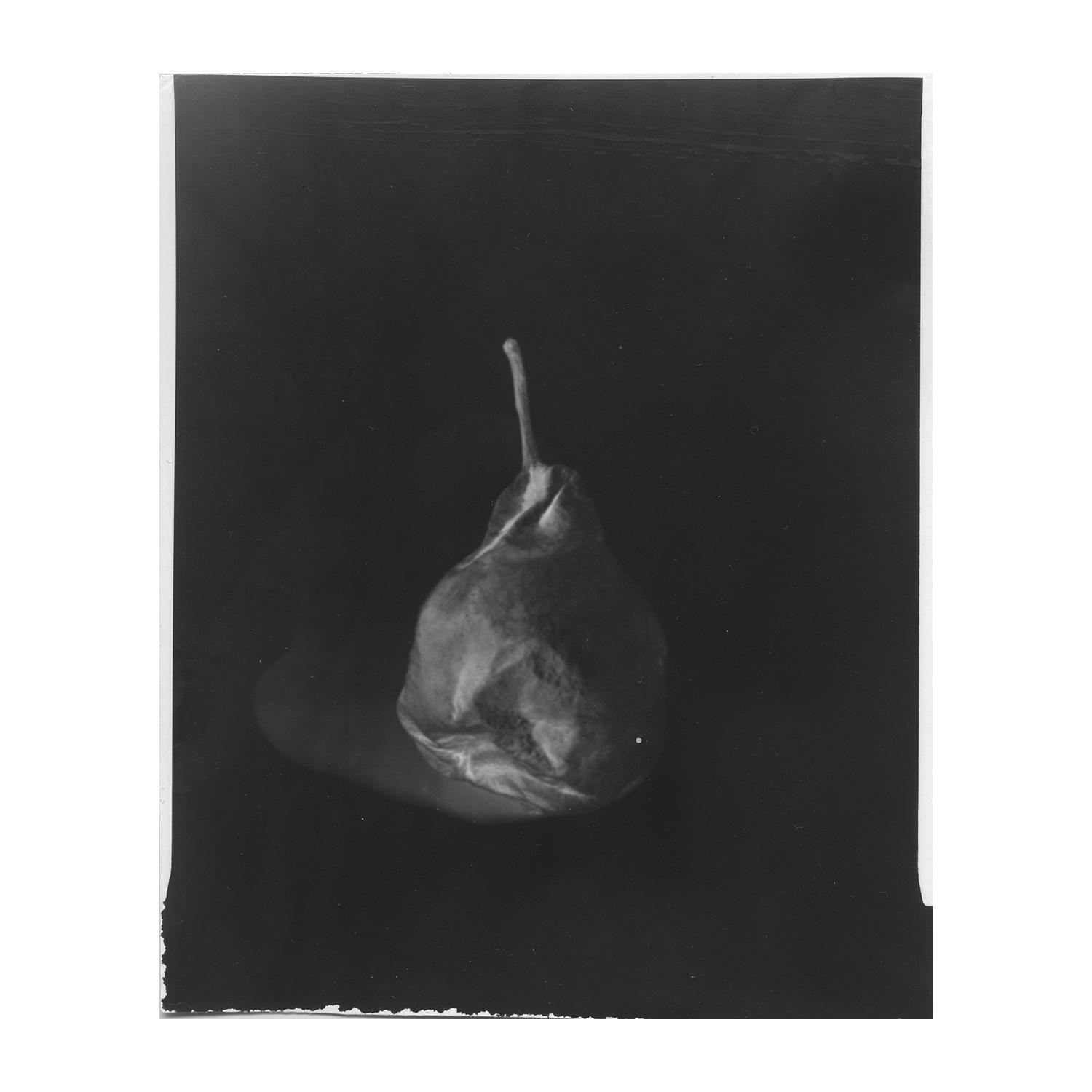 priama fotografia / camera obscura