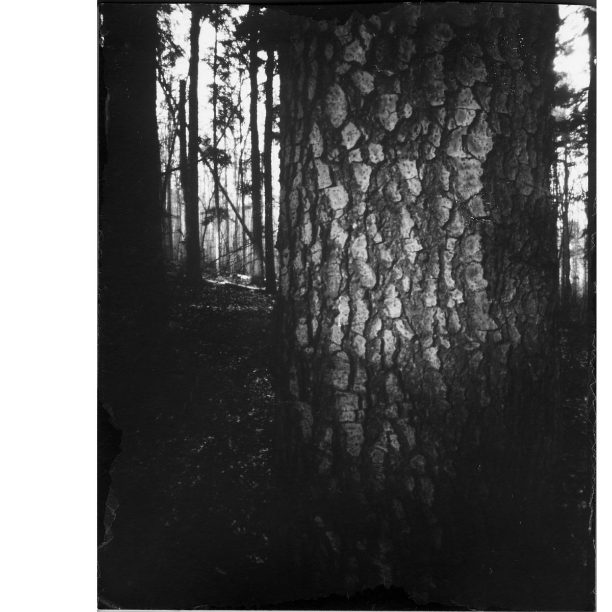 fotograf daviddoros | Dávid Doroš  ...lepšie je raz vidieť